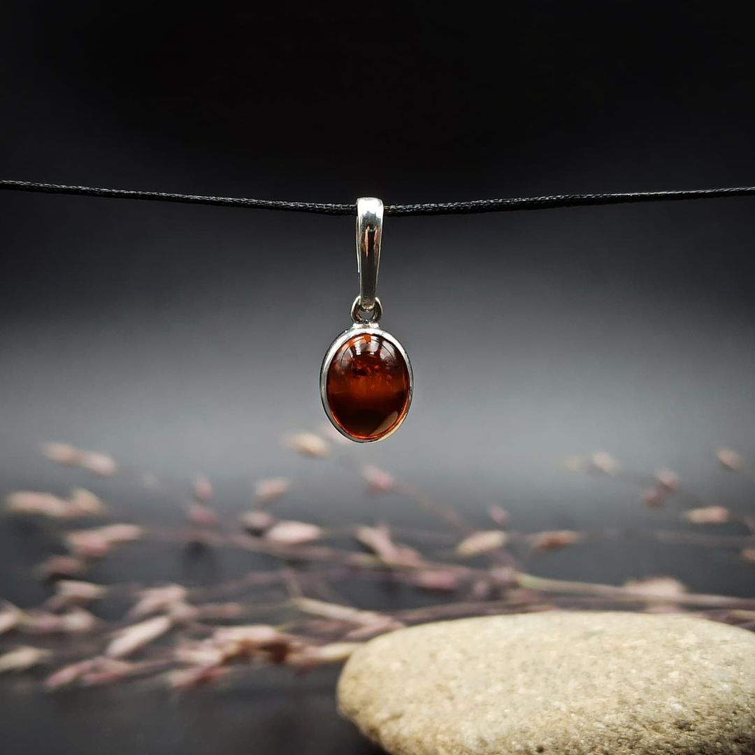 An oval-shaped amber pendant with a silver setting, suspended from a silver chain, displayed against a dark background with some dried flowers scattered around.
