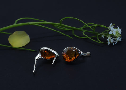 Pair of amber earrings on a dark background with greenery and flowers.
