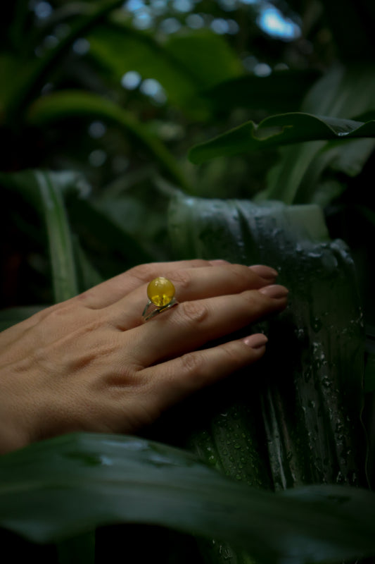 Amber Ring with Ball - Honey Amber & 925 Sterling Silver | Tetibel