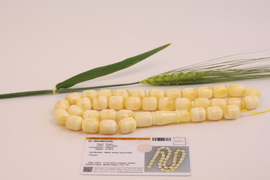 Certified Baltic amber rosary (سبحة كهرمان بلطيقي) with identification report, 57.88 g, showing opaque light yellow beads.