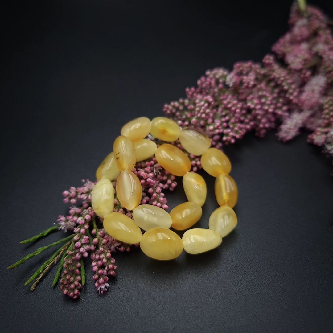 Milch Bernstein Armband mit polierten Butterscotch Olivenperlen, stilvoll präsentiert auf rosa Heidekraut.