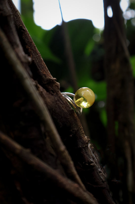 Amber Silver 1 Bead Ring