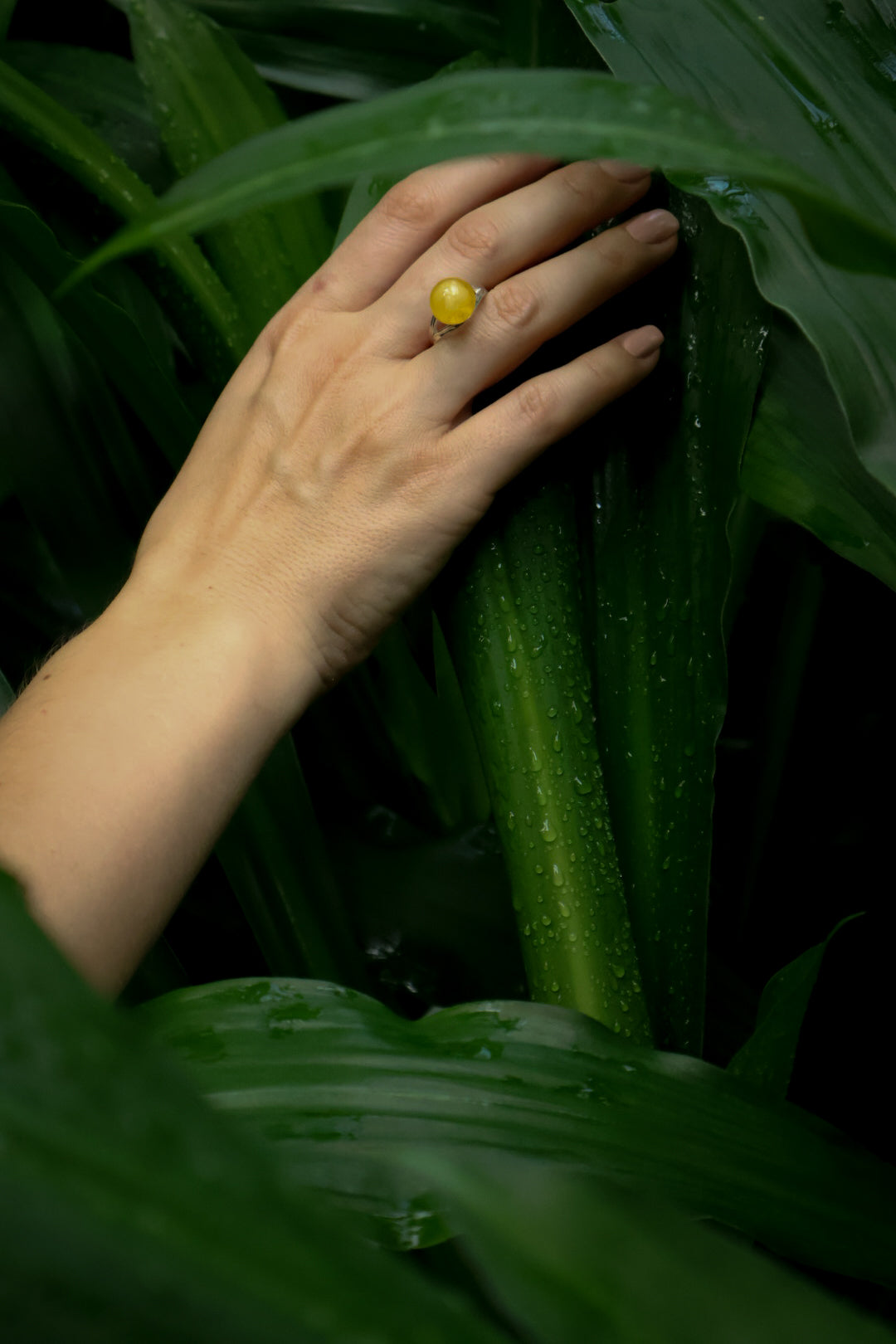 Amber Silver 1 Bead Ring