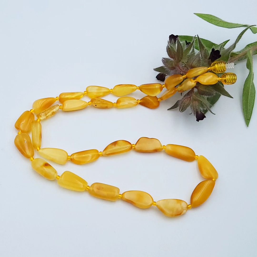 50 cm Baltische Bernstein-Nugget-Kette für Erwachsene, mit polierten Milch- und Cognac-Bernsteinperlen und kleinen Kunststoffperlen dazwischen. Präsentiert mit einem dekorativen grünen Zweig.