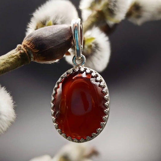 A mahogany amber pendant with a silver frame hanging on a branch, with a blurred background.
