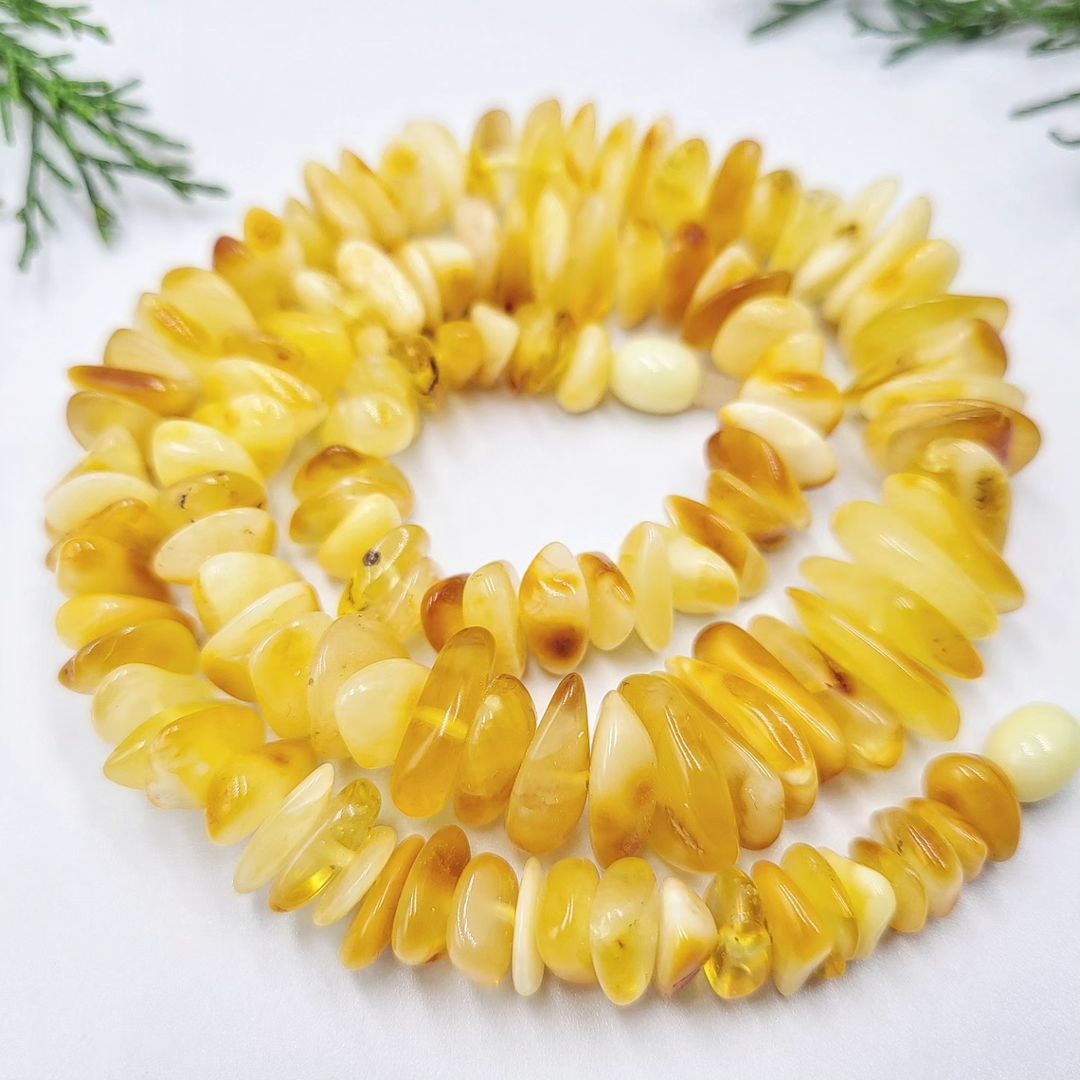 Tetibel genuine raw Baltic amber chip necklace in butterscotch and lemon, laid out in an S-shape on a white background with green foliage. Shows the full length of the necklace with irregular, unpolished nuggets and plastic screw clasp.